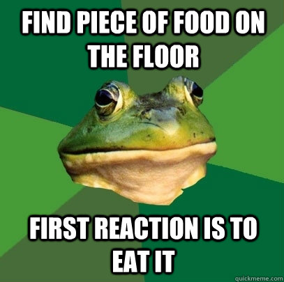 Find piece of food on the floor first reaction is to eat it  Foul Bachelor Frog