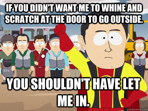 If you didn't want me to whine and scratch at the door to go outside. You shouldn't have let me in.  Captain Hindsight