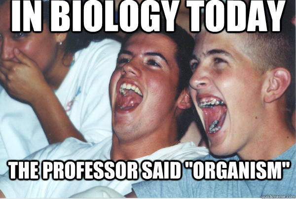 the professor said 