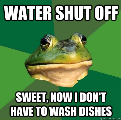 Water shut off Sweet, now I don't have to wash dishes  Foul Bachelor Frog