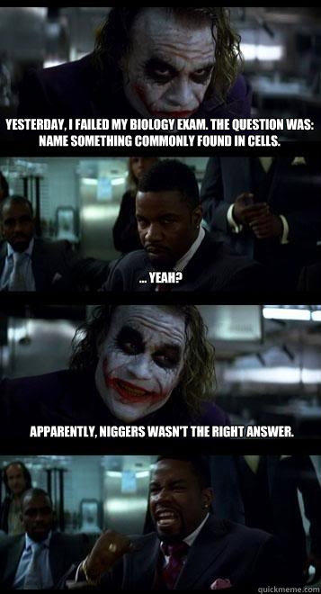 Yesterday, I failed my biology exam. The question was: Name something commonly found in cells.  ... yeah? Apparently, Niggers wasn't the right answer.  Joker with Black guy