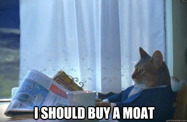 i should buy a moat  Sophisticated Cat