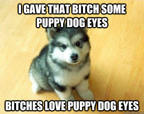 i gave that bitch some puppy dog eyes bitches love puppy dog eyes  Baby Courage Wolf