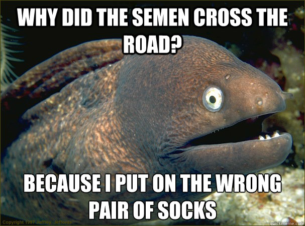 Why did the semen cross the road? Because I put on the wrong pair of socks - Why did the semen cross the road? Because I put on the wrong pair of socks  Bad Joke Eel