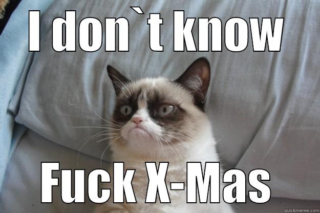 I DON`T KNOW FUCK X-MAS Grumpy Cat