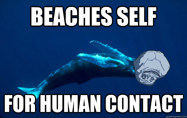 beaches self for human contact  