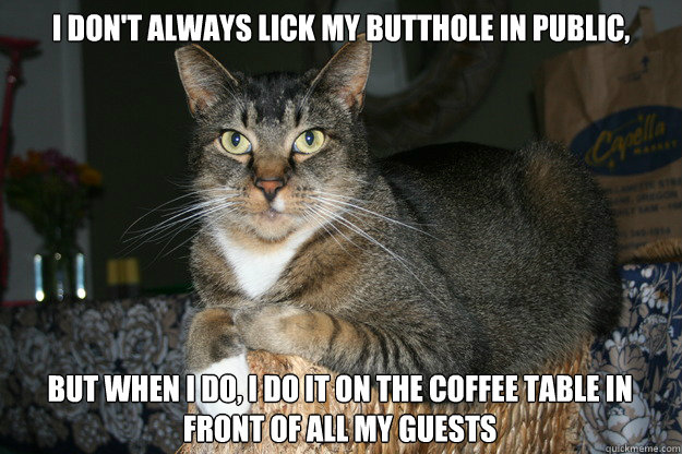 I don't always lick my butthole in public, but when i do, i do it on the coffee table in front of all my guests - I don't always lick my butthole in public, but when i do, i do it on the coffee table in front of all my guests  Dos Equis Cat