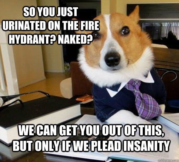 so you just urinated on the fire hydrant? naked? we can get you out of this, but only if we plead insanity  Lawyer Dog