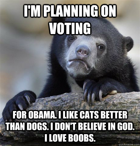 I'm planning on voting  for Obama. I like cats better than dogs. I don't believe in god. I love boobs.   Confession Bear