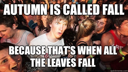 Autumn is called fall Because that's when all the leaves fall  Sudden Clarity Clarence