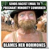 sends racist email to pregnant minority coworker blames her hormones  