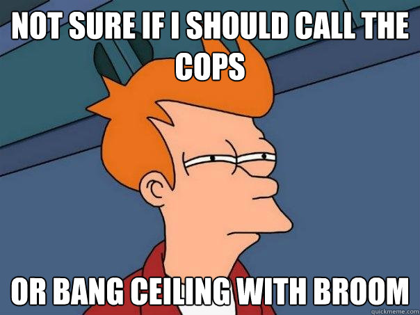 Not sure if I should call the cops or bang ceiling with broom  Futurama Fry