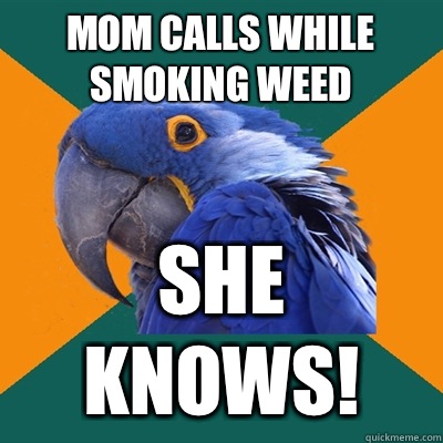 Mom calls while smoking weed She knows!  Paranoid Parrot