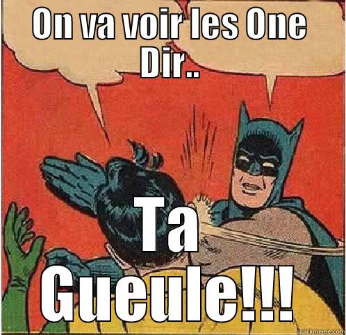ON VA VOIR LES ONE DIR.. TA GUEULE!!! Batman Slapping Robin