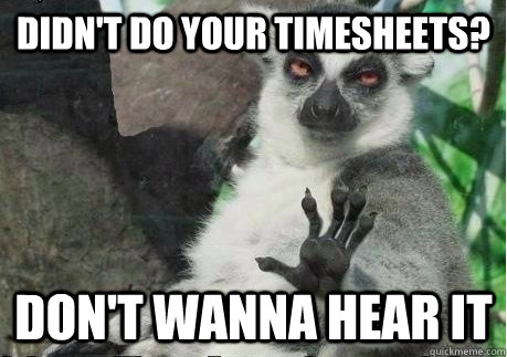 didn't do your timesheets? don't wanna hear it - didn't do your timesheets? don't wanna hear it  Too High Lemur