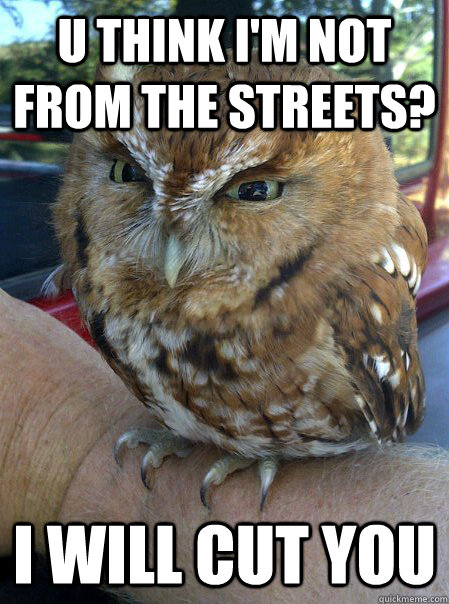 u think I'm not from the streets? I will cut you  Outrageous owl