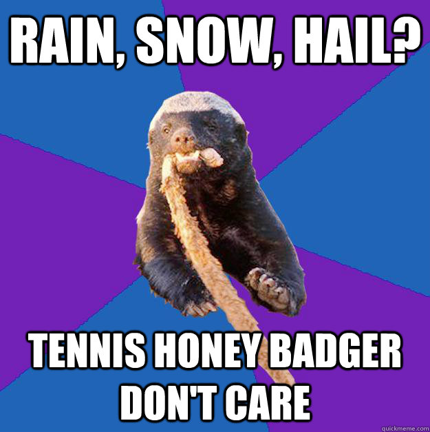 rain, snow, hail? tennis honey badger don't care  Honey Badger Dont Care