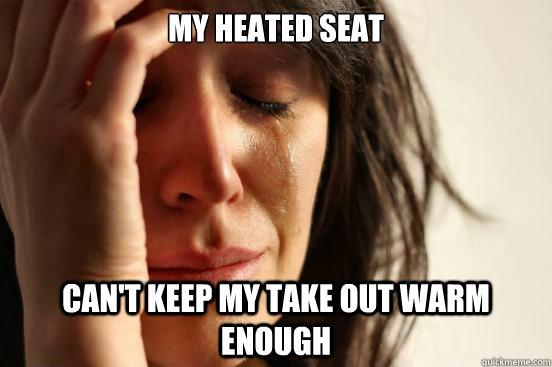my heated seat can't keep my take out warm enough  First World Problems