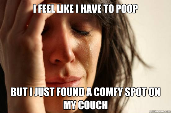 i feel like i have to poop but i just found a comfy spot on my couch  First World Problems