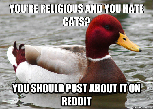 You're religious and you hate cats?
 you should post about it on reddit - You're religious and you hate cats?
 you should post about it on reddit  Malicious Advice Mallard
