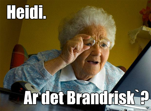 Heidi. Ar det Brandrisk`?  Grandma finds the Internet