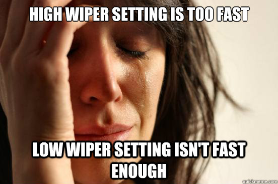High wiper setting is too fast Low wiper setting isn't fast enough  First World Problems