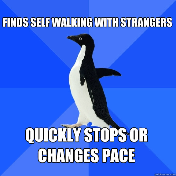 Finds self walking with strangers Quickly stops or changes pace  Socially Awkward Penguin
