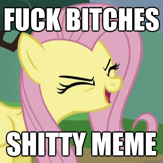 fuck bitches shitty meme  Brony Relationships are the Best Relationships