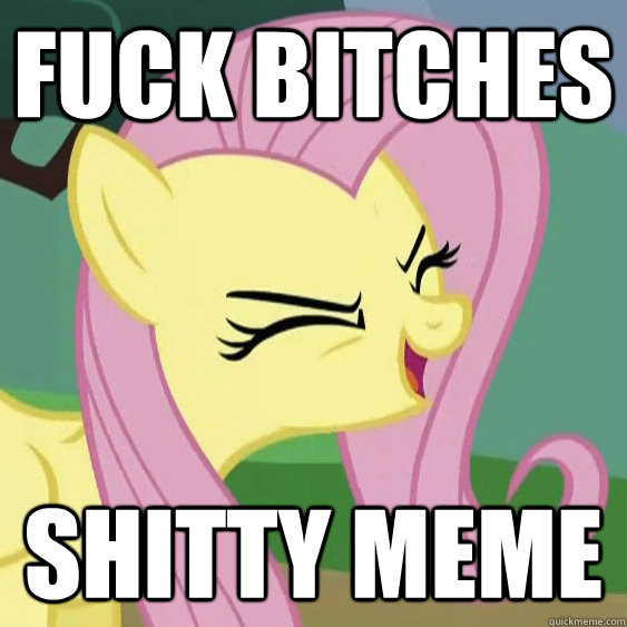 fuck bitches shitty meme  
