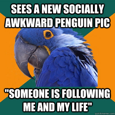 Sees a new socially awkward penguin pic 