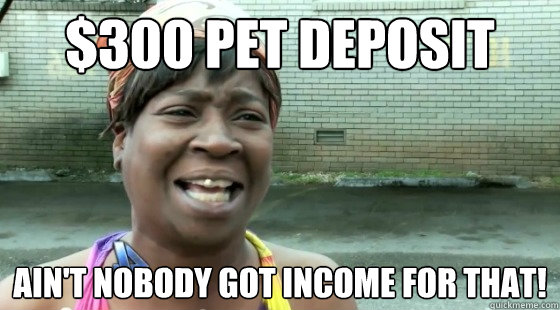 $300 Pet Deposit Ain't Nobody Got income for that!  aintnobodygottime
