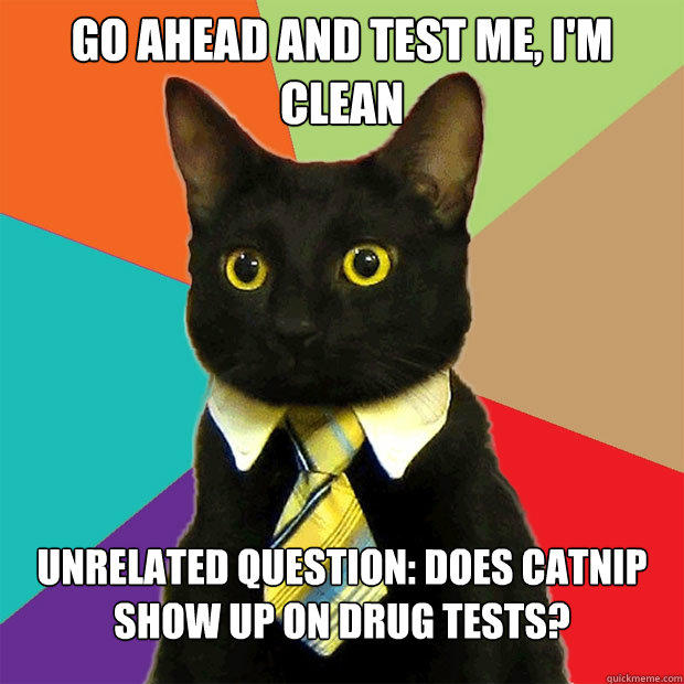 Go ahead and test me, I'm clean Unrelated question: does catnip show up on drug tests?  Business Cat