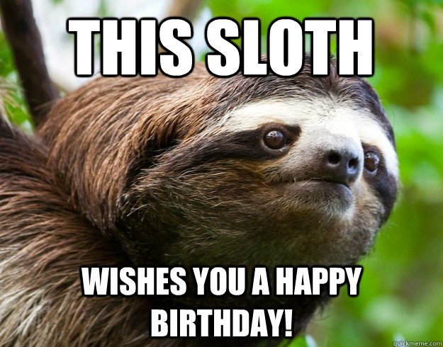 This sloth wishes you a happy birthday!  