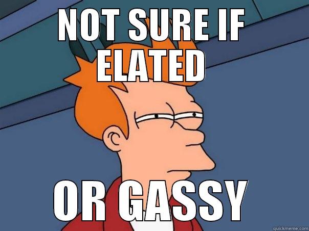 NOT SURE IF ELATED OR GASSY Futurama Fry