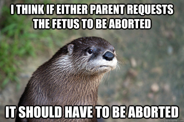 I think if either parent requests the fetus to be aborted It should have to be aborted - I think if either parent requests the fetus to be aborted It should have to be aborted  Opinion Otter