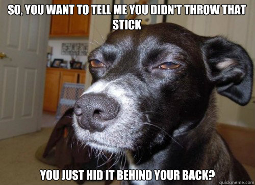 So, you want to tell me you didn't throw that stick you just hid it behind your back? - So, you want to tell me you didn't throw that stick you just hid it behind your back?  Suspicious Dog