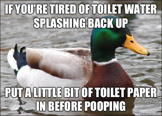If you're tired of toilet water splashing back up Put a little bit of toilet paper in before pooping  Actual Advice Mallard