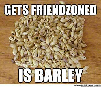 Gets friendzoned is barley - Gets friendzoned is barley  Barley Barley