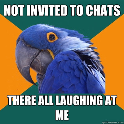 Not invited to chats There all laughing at me  Paranoid Parrot