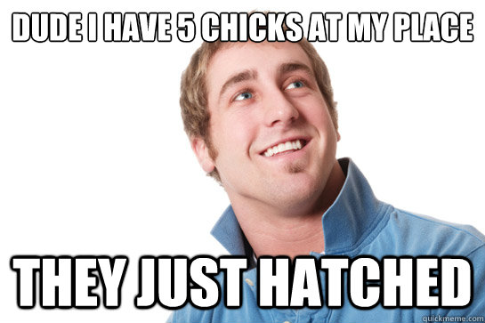 dude i have 5 chicks at my place they just hatched  Misunderstood D-Bag