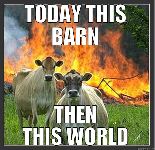 TODAY THIS BARN THEN THIS WORLD Evil cows