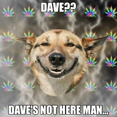 DAVE?? DAVE'S NOT HERE MAN... - DAVE?? DAVE'S NOT HERE MAN...  Stoner Dog