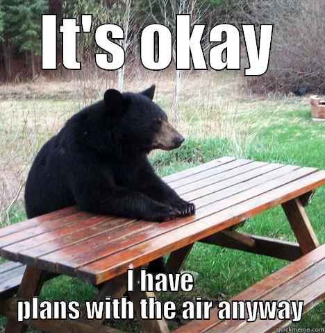 Friends can't come over - IT'S OKAY I HAVE PLANS WITH THE AIR ANYWAY waiting bear