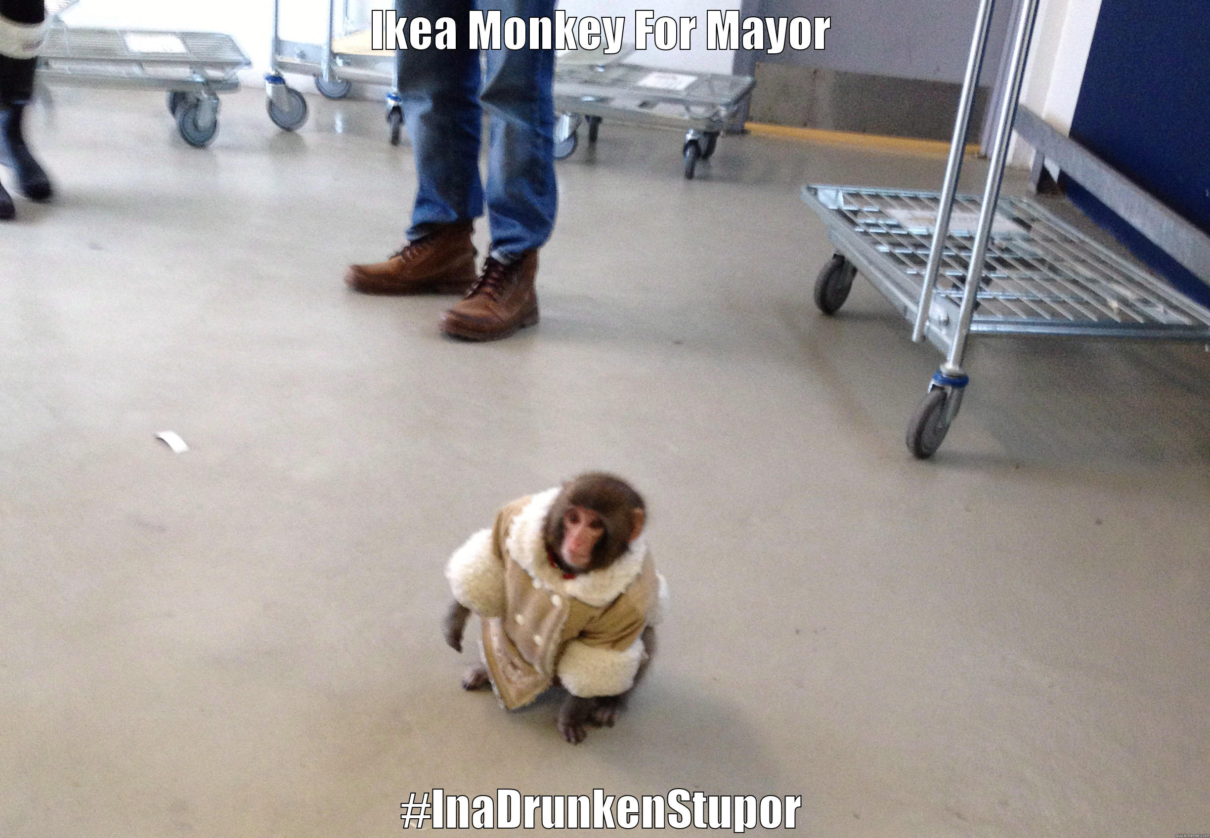 Ikea Monkey for Mayor - IKEA MONKEY FOR MAYOR #INADRUNKENSTUPOR Misc