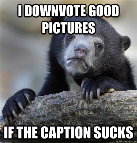 I downvote good pictures if the caption sucks  Confession Bear