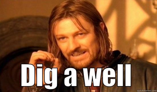  DIG A WELL Boromir
