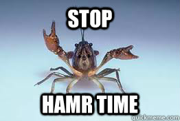 STOP HAMR TIME - STOP HAMR TIME  Stop Hamr Time