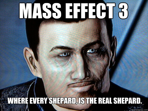 Mass Effect 3 Where every Shepard, Is the real Shepard.  Real Shepard