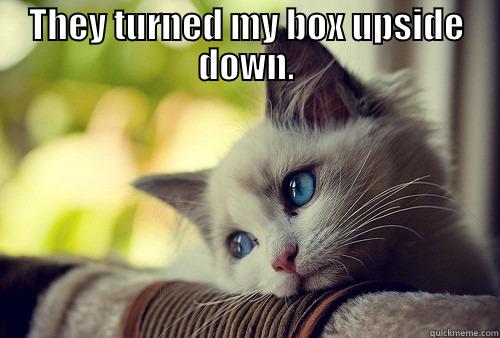THEY TURNED MY BOX UPSIDE DOWN.  First World Problems Cat