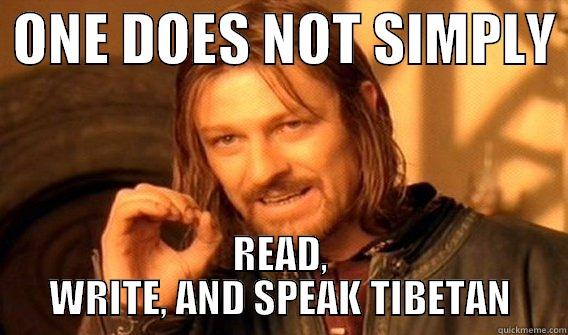  ONE DOES NOT SIMPLY  READ, WRITE, AND SPEAK TIBETAN One Does Not Simply